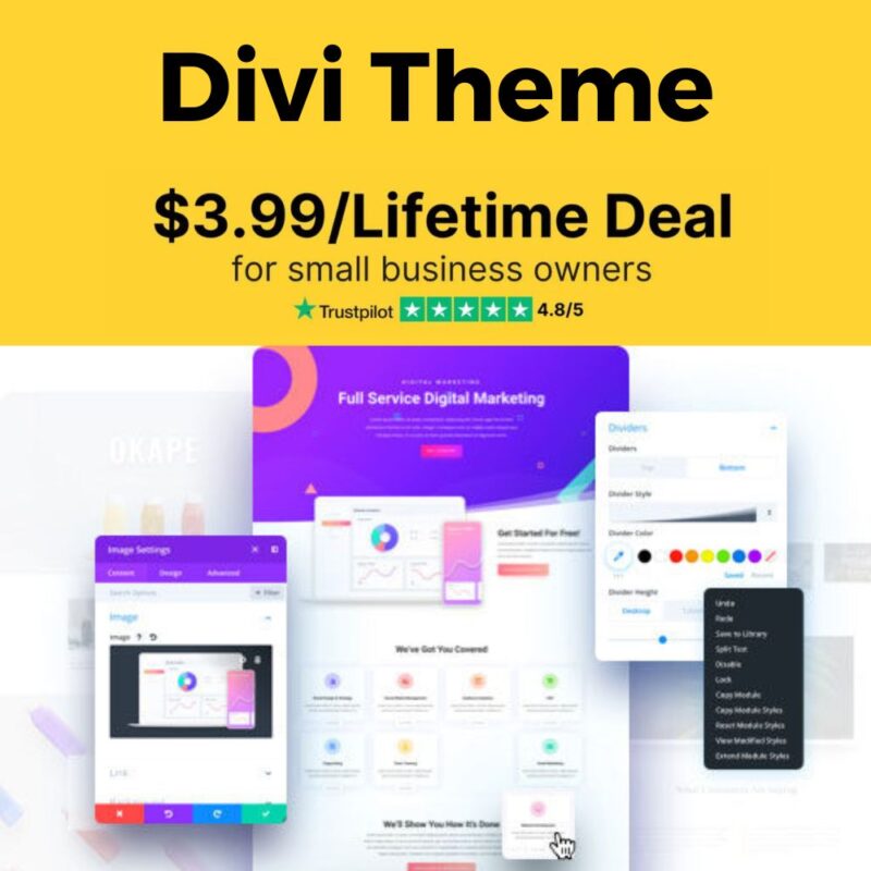 Divi Theme